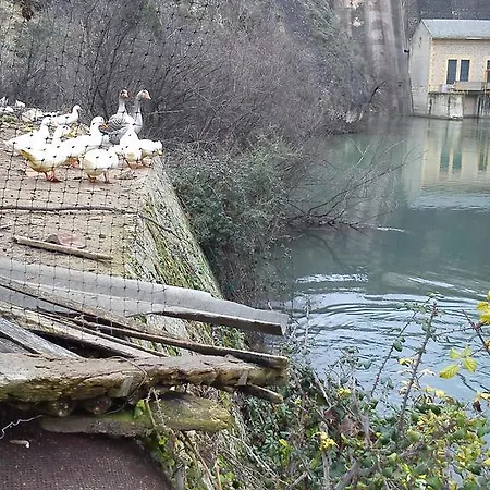 Farm stay Hotel Rural Pantano De Burgomillodo *