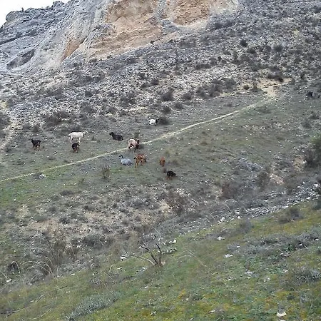 Agroturismo Rural Pantano De