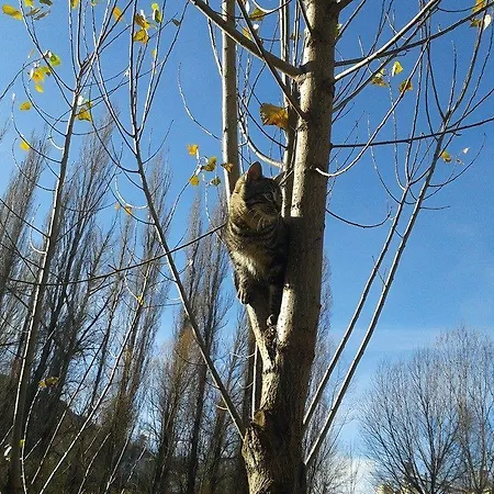 Hotel Rural Pantano De Burgomillodo Farm stay Burgomillodo