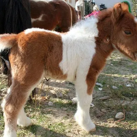 Hotel Rural Pantano De Burgomillodo *