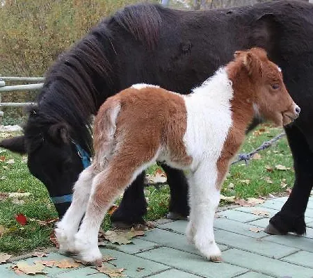 Hotel Rural Pantano De Burgomillodo