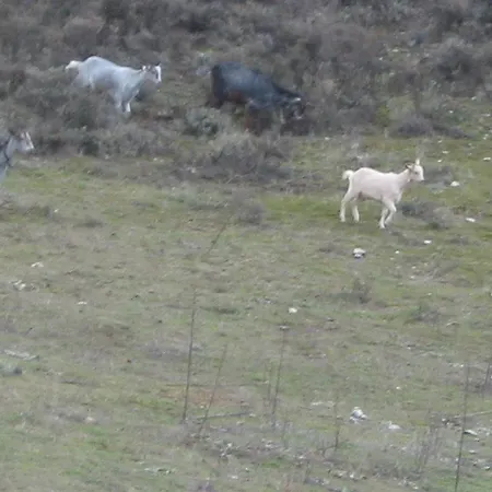 Hotel Rural Pantano De Burgomillodo Farm stay *