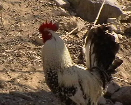 Hotel Rural Pantano De Burgomillodo Farm stay Burgomillodo