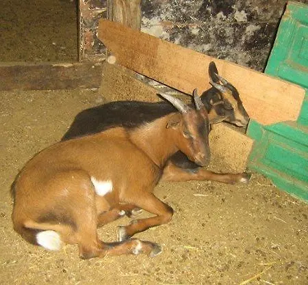 Hotel Rural Pantano De Burgomillodo Farm stay Burgomillodo