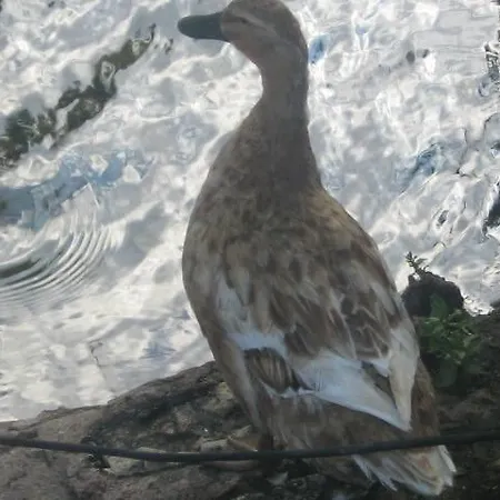 Farm stay Hotel Rural Pantano De Burgomillodo *