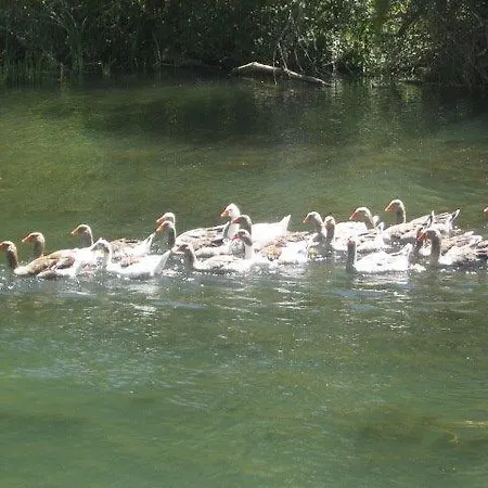 Farm stay Hotel Rural Pantano De Burgomillodo