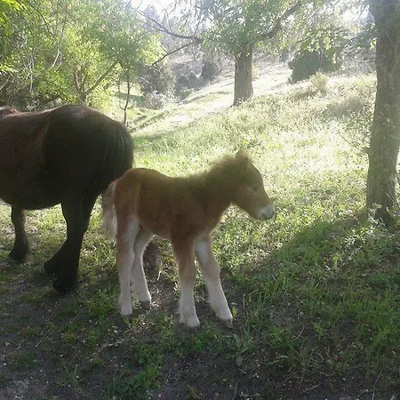 Hotel Rural Pantano De Burgomillodo *