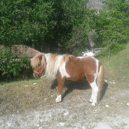 Hotel Rural Pantano De Burgomillodo Farm stay *