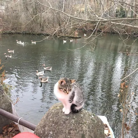 Hotel Rural Pantano De Burgomillodo * Burgomillodo