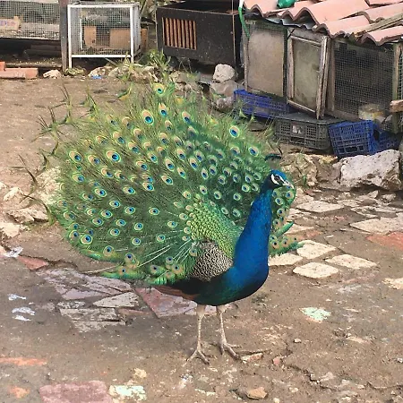 Hotel Rural Pantano De Burgomillodo *