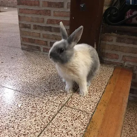 Hotel Rural Pantano De Burgomillodo Burgomillodo