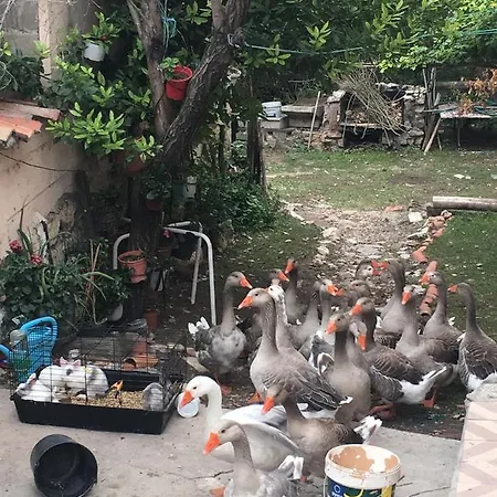 Farm stay Hotel Rural Pantano De Burgomillodo Burgomillodo