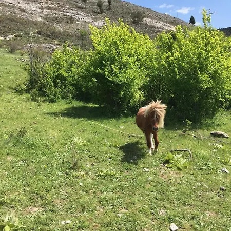 Agroturismo Rural Pantano De Burgomillodo