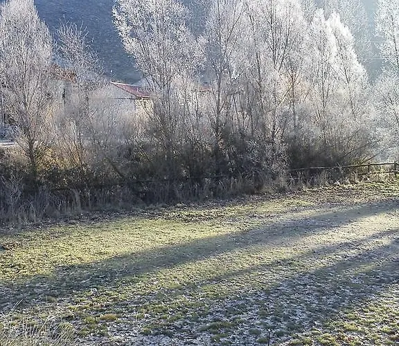 Rural Pantano De ファームステイ