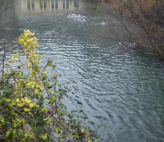 Rural Pantano De