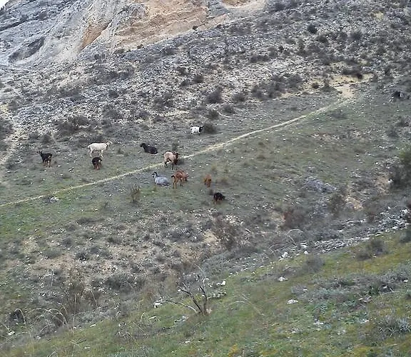 ファームステイ Rural Pantano De
