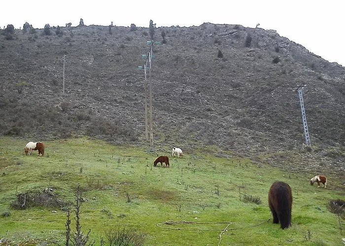 Rural Pantano De ファームステイ
