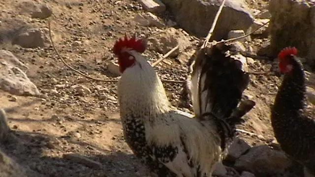 Rural Pantano De ファームステイ Burgomillodo