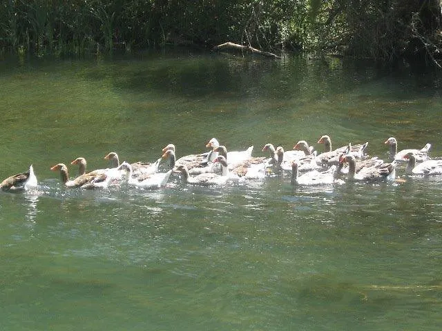 ファームステイ Rural Pantano De