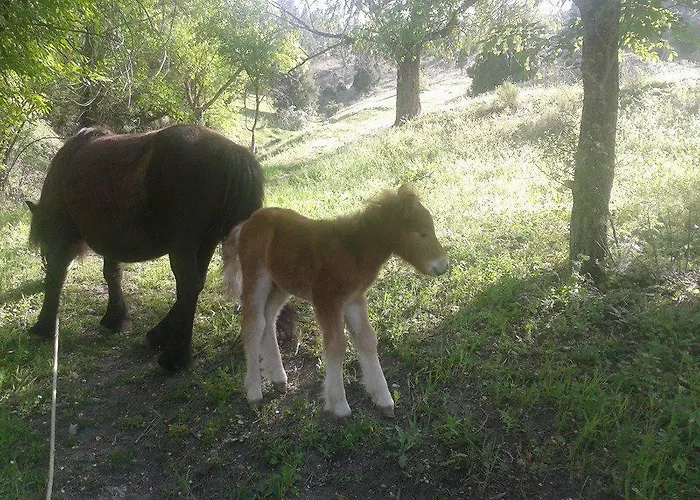 Rural Pantano De *