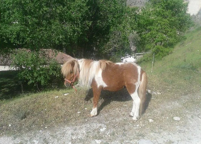 Rural Pantano De ファームステイ *