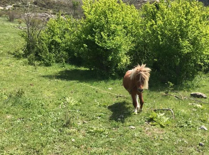 ファームステイ Rural Pantano De Burgomillodo