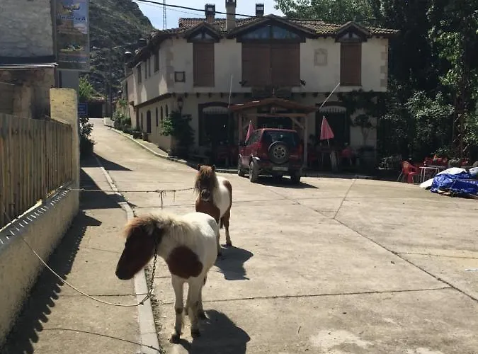 Rural Pantano De Burgomillodo
